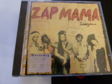 Zap mama - 1948,qwe
