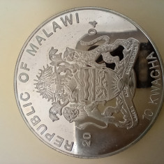 SV * Malawi 10 KWACHA 2004 * ARGINTATA * FAUNA * ZEBRA AUNC+