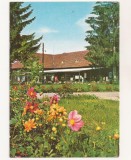 RF43 -Carte Postala- Izvorul Muresului, circulata 1975