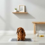 vidaXL P&acirc;tura de antrenament pentru animale de companie Simplu 50 pcs 42025308