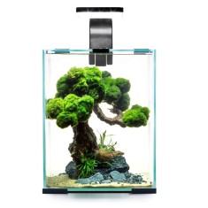 AQUAEL SHRIMP SET SMART D&amp;amp;amp;N 10 NEGRU foto