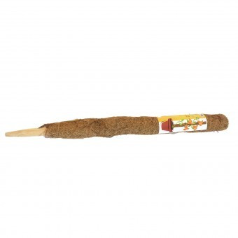 Suport (arac) pentru plante Strend Pro GreenGarden Coco, din bambus, 4.5 x 60 cm foto