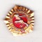 bnk ins URSS - Insigna Gata pentru munca si aparare GTO cls V