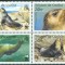 TRISTAN DA CUNHA 2004 WWF FAUNA PROTEJATA FOCI