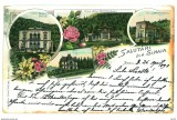 787 - SINAIA, Prahova, Litho, Romania - old postcard - used - 1898