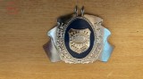 QW14 - Emblema militara - anii 1990 - politie - piesa de colectie