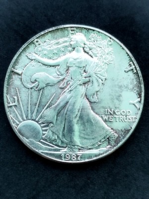 1 $ &amp;quot;American Silver Eagle&amp;quot; 1987, USA - G 4230 foto