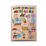 Carte de colorat format B5 Acasa la noi