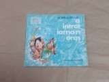 ROMULUS LAL - A INTRAT IARNA-N ORAS