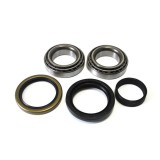 Set rulment roata CHEVROLET SPARK (2005 - 2016) RINGER 1141006176