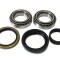 Set rulment roata CHEVROLET SPARK (2000 - 2004) RINGER 1141006176