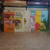 LOT 6 CARTI DE BUCATARIE : CARTEA DULCIURILOR + PRAJITURI CU FRUCTE + PREPARAREA BAUTURILOR + BUCATARIA TURISTULUI.... *