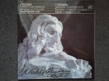 TWENTY-FOUR CAPRICES - Paganini (disc dublu vinil)