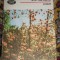 myh 42f - BPT 1324 - POEZII - ANA BLANDIANA - ED 1989