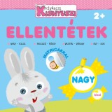 K&iacute;v&aacute;ncsi Kisnyuszi - Ellent&eacute;tek
