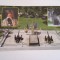 QW27 T - Carte postala - tematica turism - vedere - Romania - Tebea 2