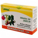 Gemoderivat Mladite Zmeur Hofigal 30mdz