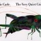 The Very Quiet Cricket