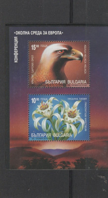 Protectia mediului ,vulturfloare de colt ,Bulgaria. foto
