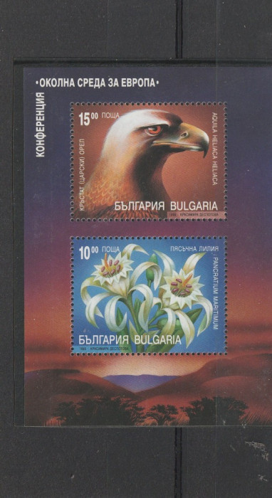 Protectia mediului ,vulturfloare de colt ,Bulgaria.