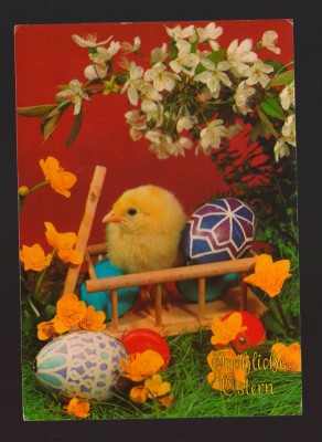 CPIB 21875 - CARTE POSTALA - FELICITARE DE PASTI, GERMANIA foto