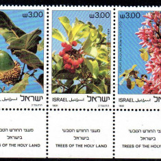 ISRAEL 1981, Flora, Fructe, serie neuzată, MNH