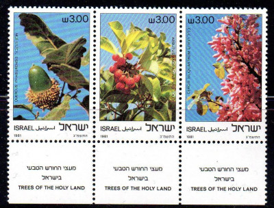 ISRAEL 1981, Flora, Fructe, serie neuzată, MNH foto