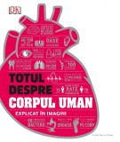 Totul despre corpul uman, Litera