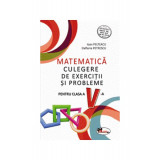 Matematică. Culegere de exerciții și probleme. Clasa a V-a - Paperback brosat - Elefterie Petrescu, Ioan Pelteacu - Aramis