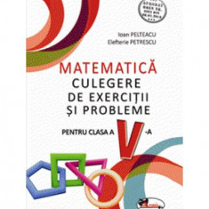 Matematică. Culegere de exerciții și probleme. Clasa a V-a - Paperback brosat - Elefterie Petrescu, Ioan Pelteacu - Aramis