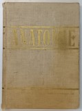 ANATOMIE , ANGIOLOGIA , GLANDELE ENDOCRINE , SISTEMUL NERVOS SI ORGANELE DE SIMT , 1966 *PREZINTA URME DE UZURA