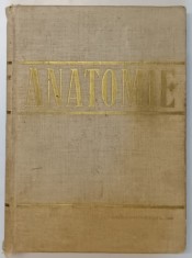 ANATOMIE , ANGIOLOGIA , GLANDELE ENDOCRINE , SISTEMUL NERVOS SI ORGANELE DE SIMT , 1966 *PREZINTA URME DE UZURA