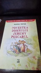 Povestea domnului Jeremy pescarul - Beatrix Potter foto