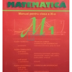 Marius Burtea - Matematica M1. Manual pentru clasa a XI-a (editia 2006)