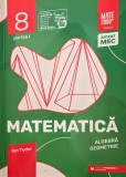 Matematica. Algebra, geometrie. Modalitati de lucru diferentiate. Pregatire suplimentara prin planuri individualizate. Caiet de lucru 8 (Partea I) - I