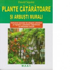 Plante cataratoare si arbusti murali - David Squire