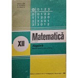 Ion D. Ion - Matematica - Algebra, manual pentru clasa a XII-a (Editia: 1985)