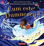 Cum este Dumnezeu? - Paperback brosat - Matthew Paul Turner, Rachel Held Evans - Act și Politon
