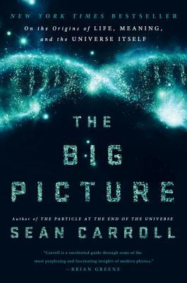 The Big Picture: On the Origins of Life, Meaning, and the Universe Itself foto