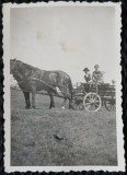 Fotografie, Barbat si femeie, cu caruta pe camp, perioada interbelica