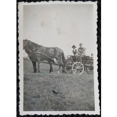 Fotografie, Barbat si femeie, cu caruta pe camp, perioada interbelica