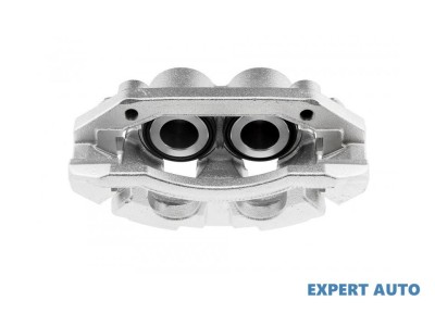 Etrier fata Dodge RAM 1500 (2001-2008) [D1, DC, DH, DM, DR] #1 foto
