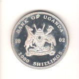 SV * Uganda 1000 SHLLING 2002 * FAUNA - GORILA AFRICANA * AUNC + / ex PROOF, Africa, Nichel