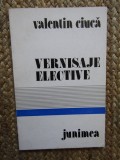 Valentin Ciuca - Vernisaje Elective
