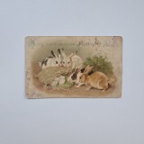 Carte Postala tematica pascala - Paste Fericit! 1907, circulata Stajerlak - Steierdorf Anina / Caras / Banat / Romania