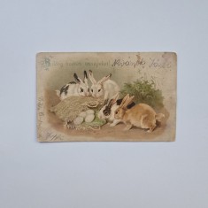 Carte Postala tematica pascala - Paste Fericit! 1907, circulata Stajerlak - Steierdorf Anina / Caras / Banat / Romania