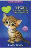 Tiger, un pisoi dornic de aventura - Holly Webb