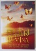 FLUTURI DE LUMINA , POVESTI SI PRACTICI DE IUBIRE DE SINE de OFELIA NICOLESCU , 2024