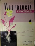 Morfologia Plantelor - I. Ciobanu, 1964, Editura Didactica si Pedagogica, Biologie, Botanica, Coperta Cartonata