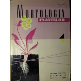 MORFOLOGIA PLANTELOR-I. CIOBANU-259626